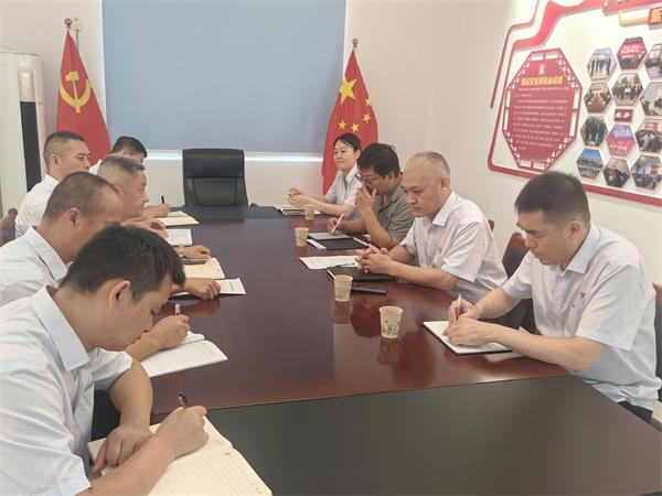 公司領導調研指導鼎信公司、藍盾...