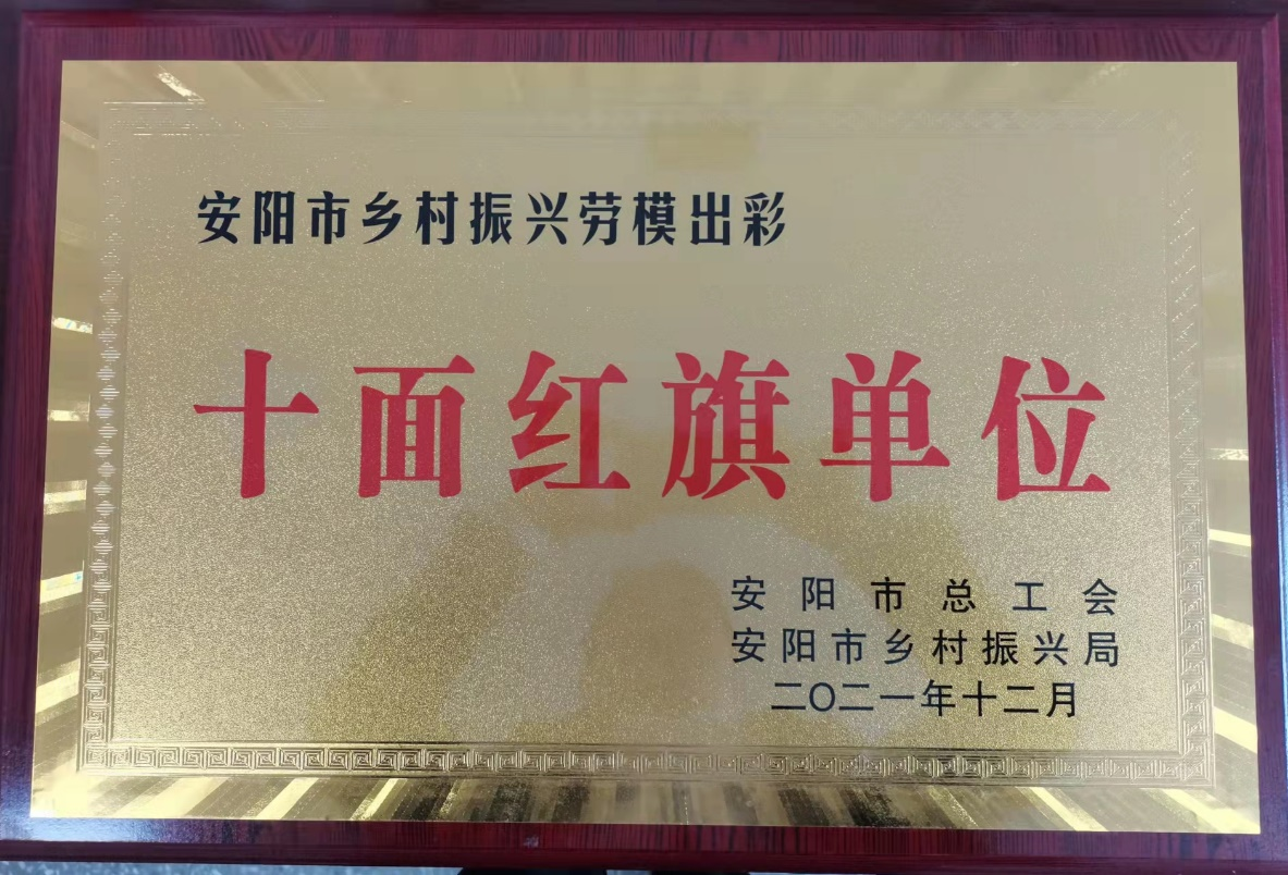 安陽(yáng)市鄉(xiāng)村振興勞模出彩十面紅旗...
